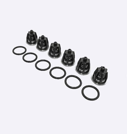 KIT 62 Рем.комплект клапанов для помп Interpump T44, T55, WS153 34006201